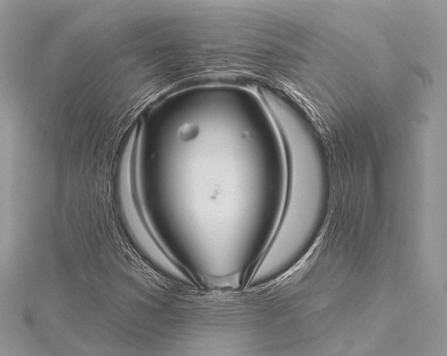 X0000115531353200911201711