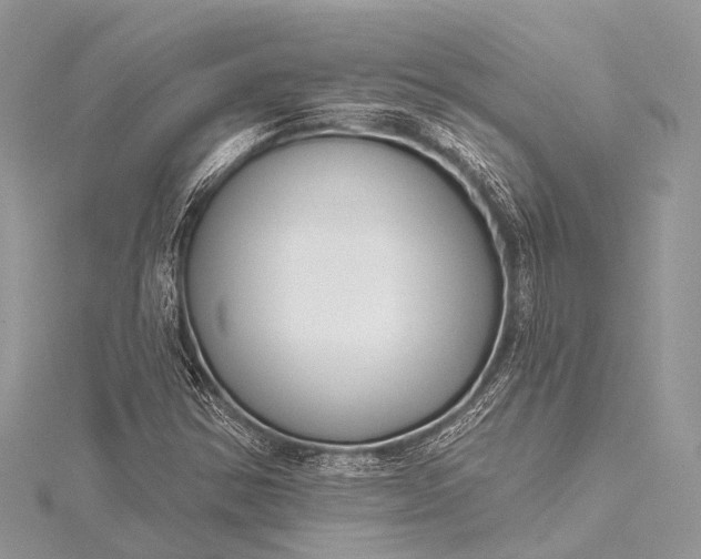 X0000115531354200911201711