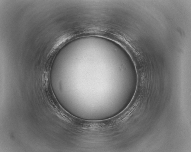 X0000115531355200911201711