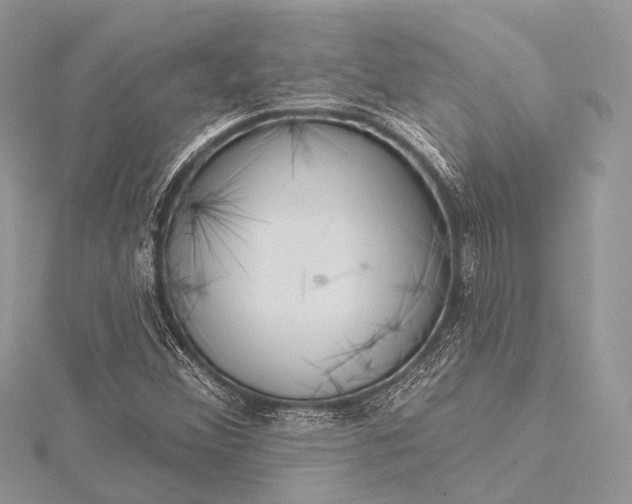 X0000115531356200911201711