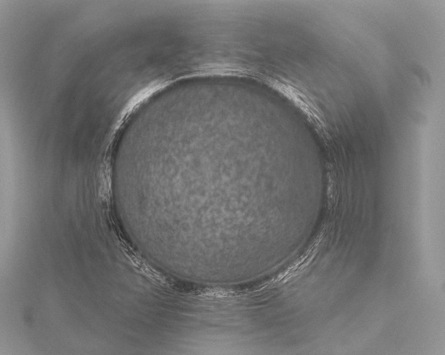 X0000115531358200911201711