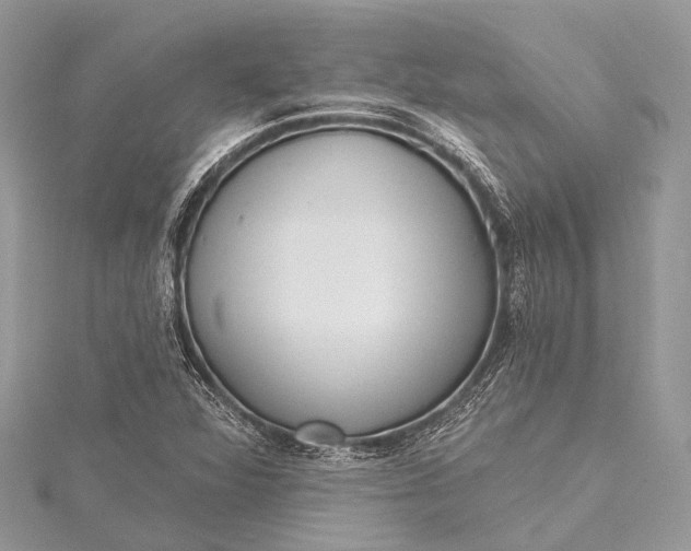 X0000115531360200911201711