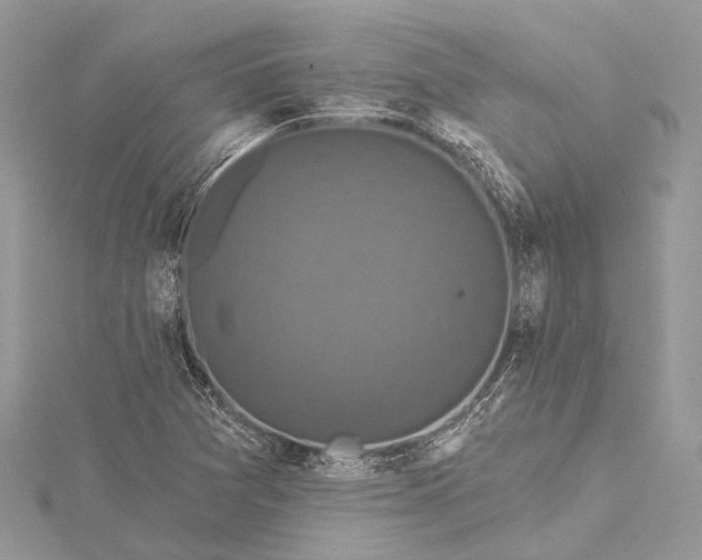 X0000115531361200911201711