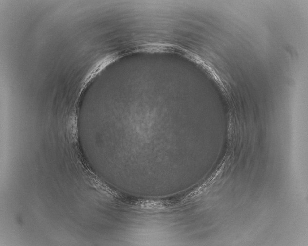 X0000115531362200911201711