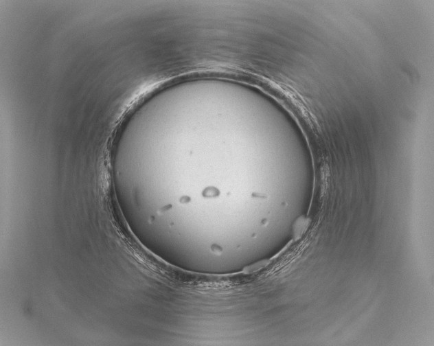 X0000115531363200911201711