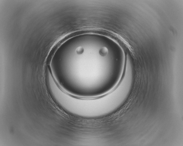 X0000115531364200911201711