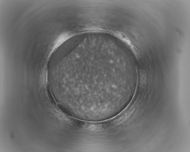 X0000115531365200911201711