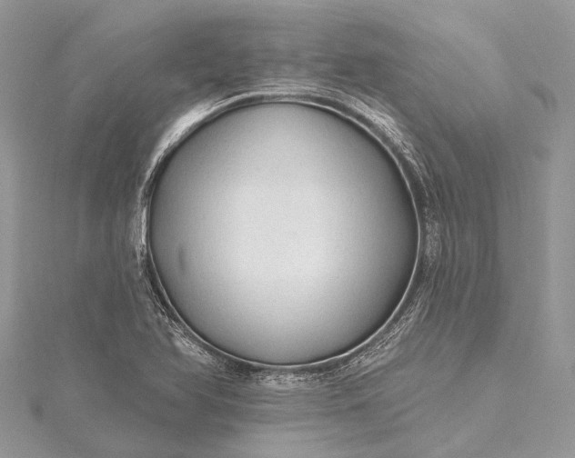 X0000115531366200911201711