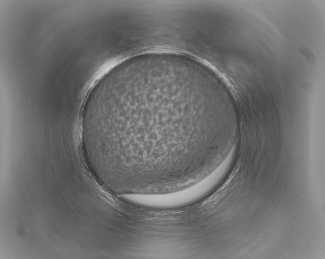 X0000115531367200911201711