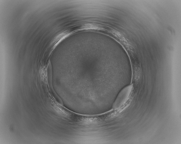 X0000115531369200911201711