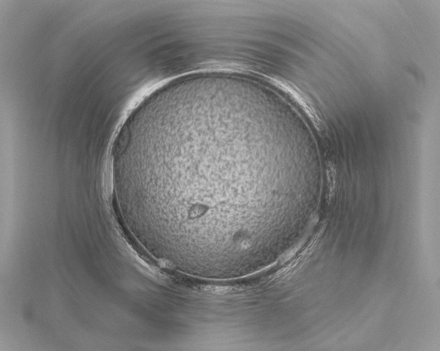 X0000115531371200911201711