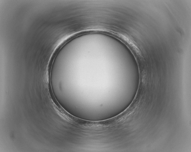 X0000115531372200911201711