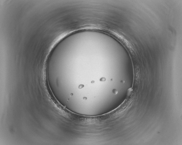 X0000115531375200911201711