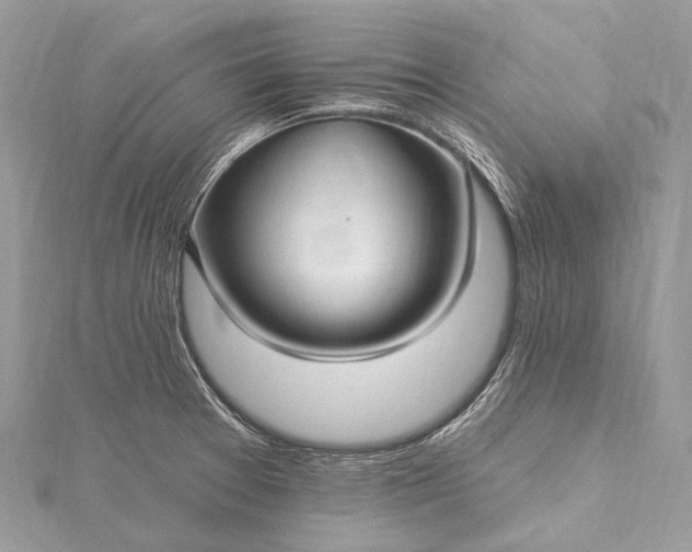 X0000115531377200911201710