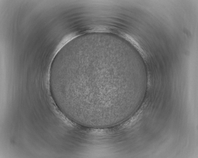 X0000115531378200911201710