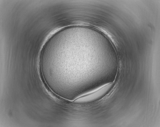 X0000115531379200911201710