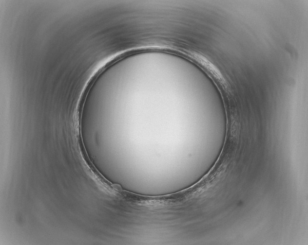 X0000115531380200911201710