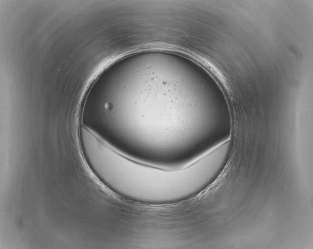 X0000115531381200911201710