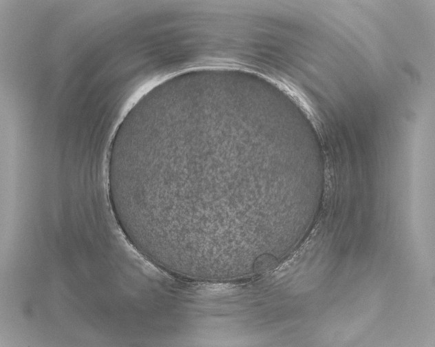 X0000115531382200911201710