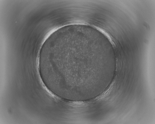 X0000115531383200911201710