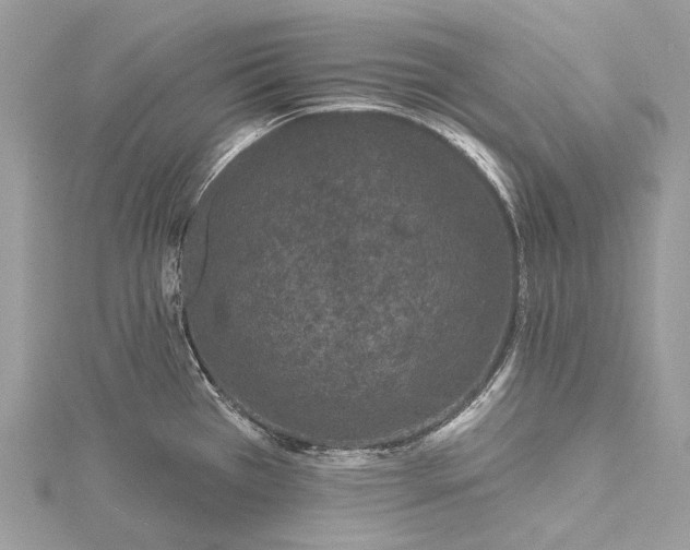 X0000115531385200911201710