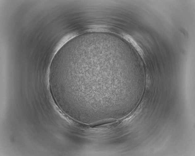 X0000115531386200911201710