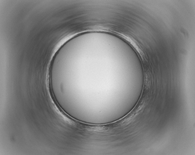 X0000115531387200911201710