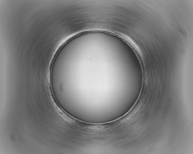 X0000115531388200911201710