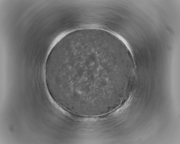 X0000115531389200911201710