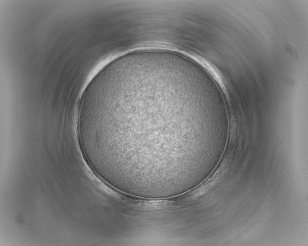 X0000115531390200911201710