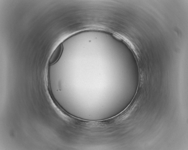 X0000115531391200911201710