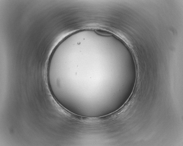 X0000115531392200911201710