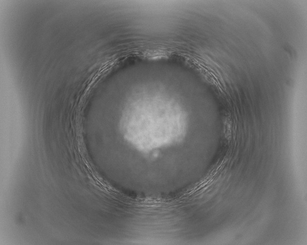 X0000115531393200911201710