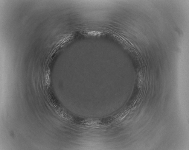 X0000115531394200911201710