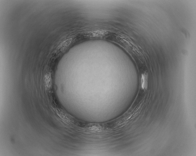 X0000115531395200911201710