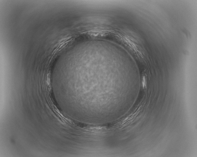 X0000115531396200911201710