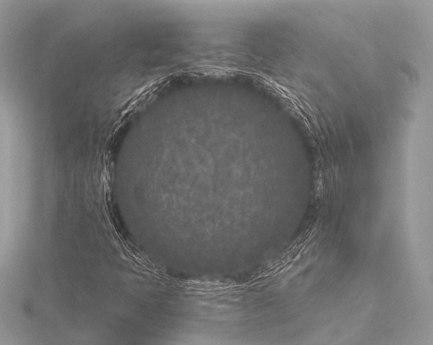 X0000115531397200911201710