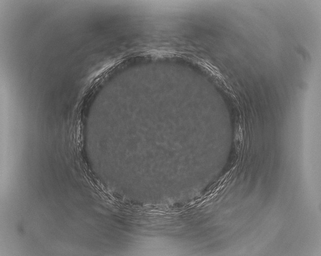 X0000115531398200911201710