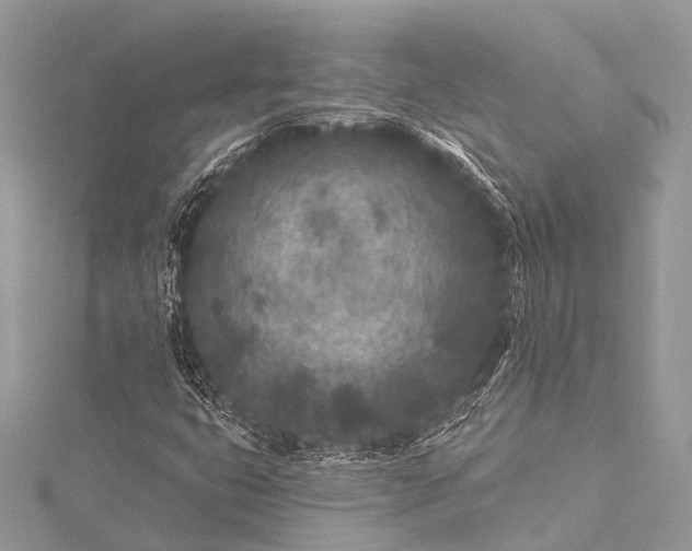 X0000115531399200911201710