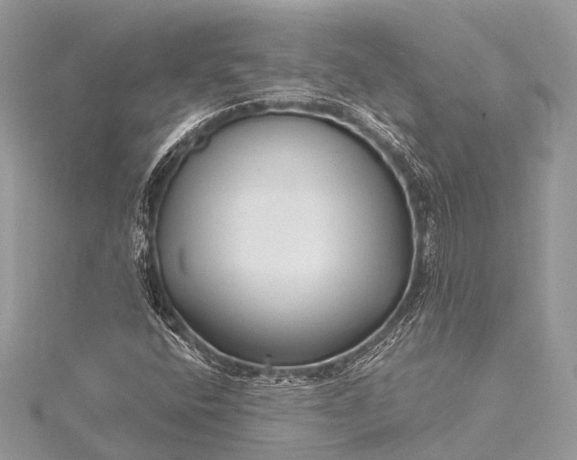 X0000115531400200911201710