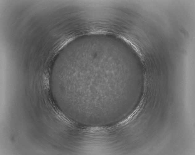 X0000115531401200911201710