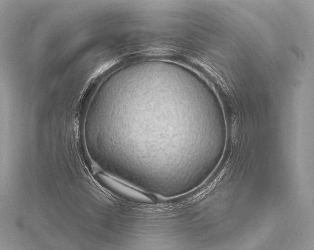 X0000115531402200911201710