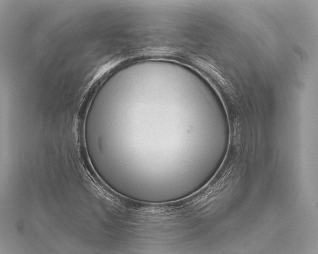 X0000115531404200911201710