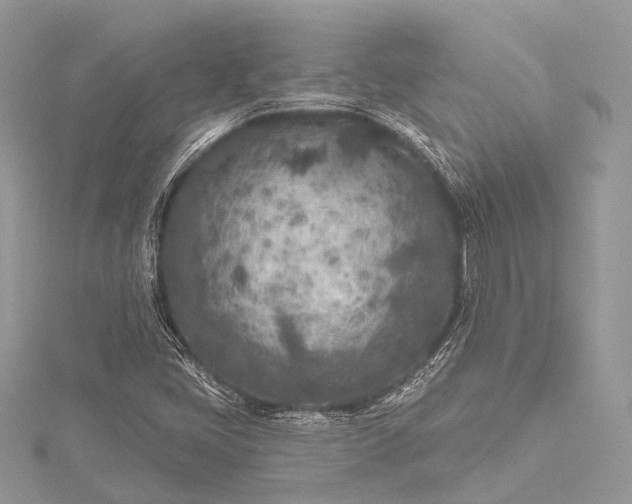 X0000115531405200911201710