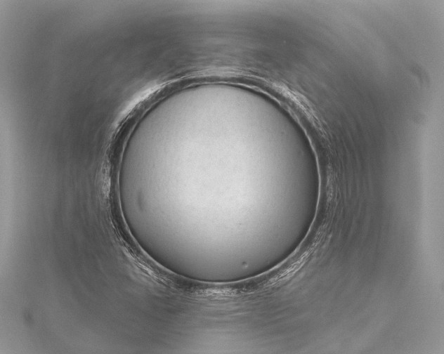 X0000115531406200911201710