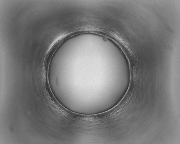 X0000115531408200911201710