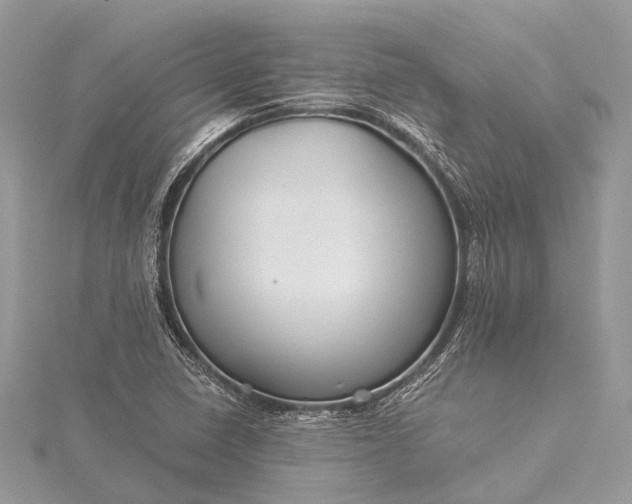 X0000115531410200911201710