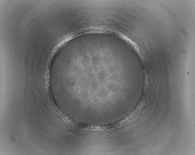 X0000115531411200911201710