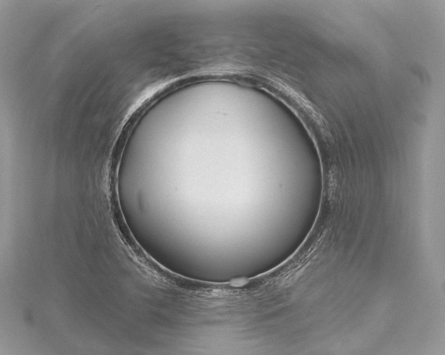 X0000115531412200911201710