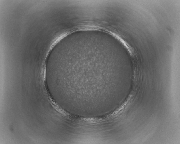 X0000115531413200911201710